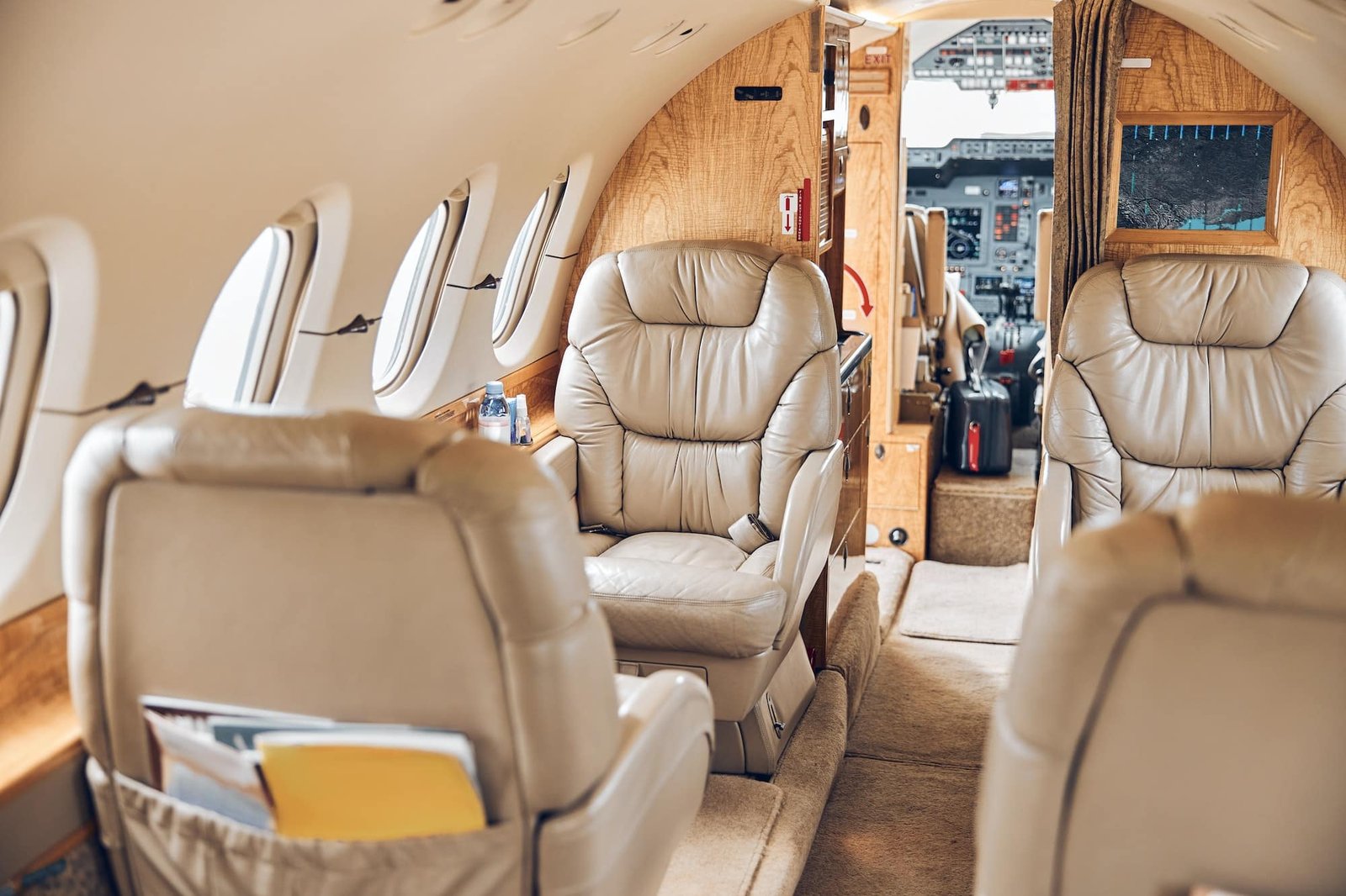 Beautiful and comfortable sofas in a luxury 4 seater private jet