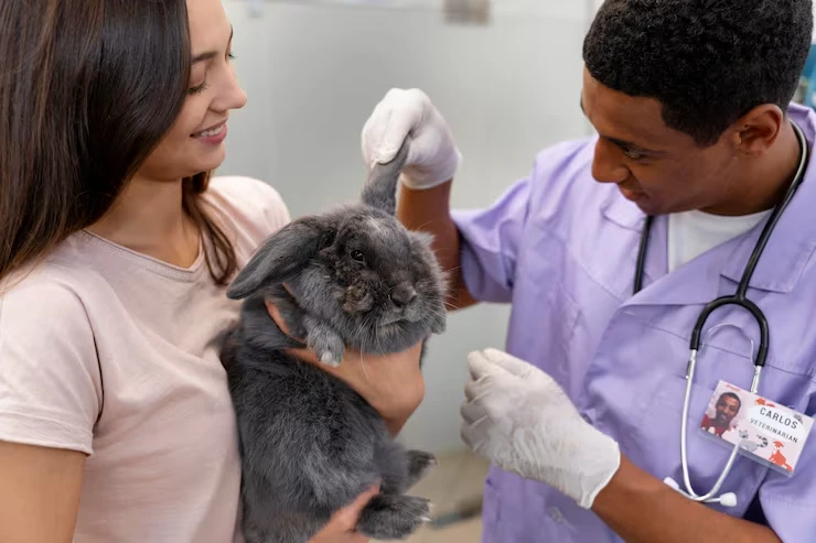 Animal Welfare & In-Flight Care Protocols