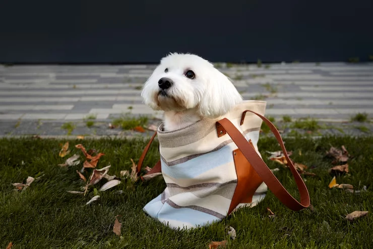 Breed-Specific and High-Risk Pet Handling