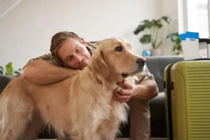 Compare Private Jet vs Airline Pet Transport for Global Travel