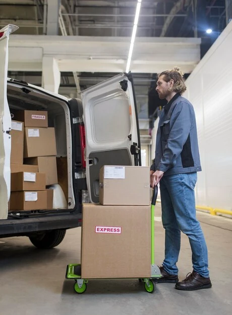 Door-to-Door Pet Relocation Coordinations