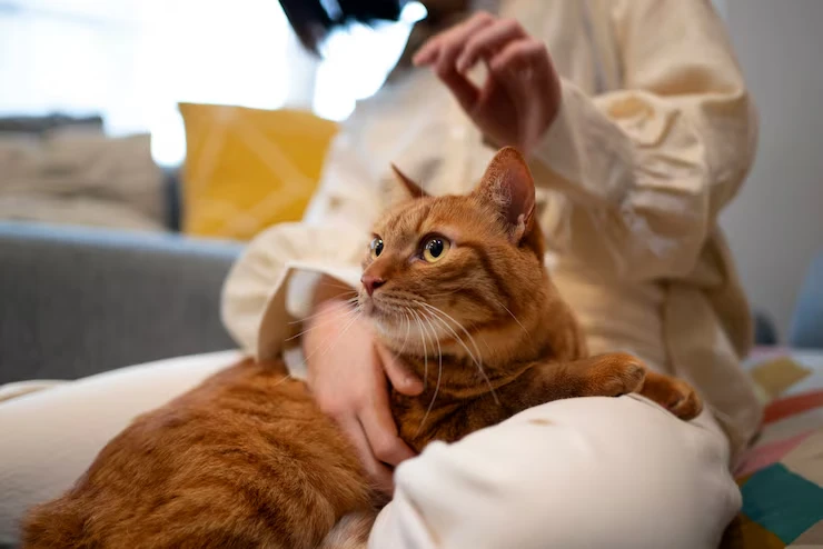 Industry Statistics That Matter for private jet cat transport