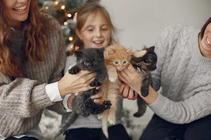 Multi-Cat and Family Travel Planning