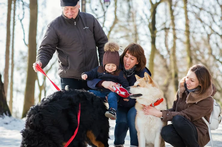 Multi-Pet and Family Travel Coordination