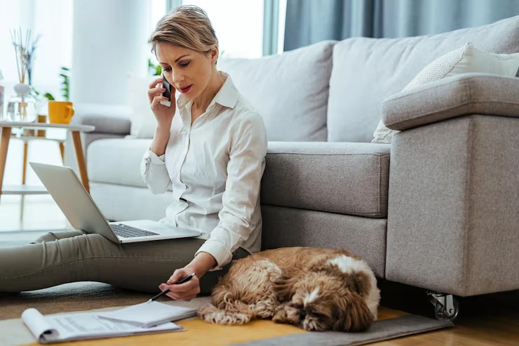Onboard Pet Care and Comfort Planning