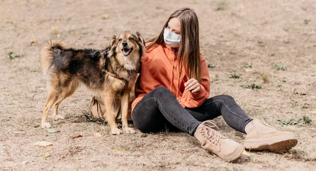 Our Expertise in High-Stakes Pet Relocation