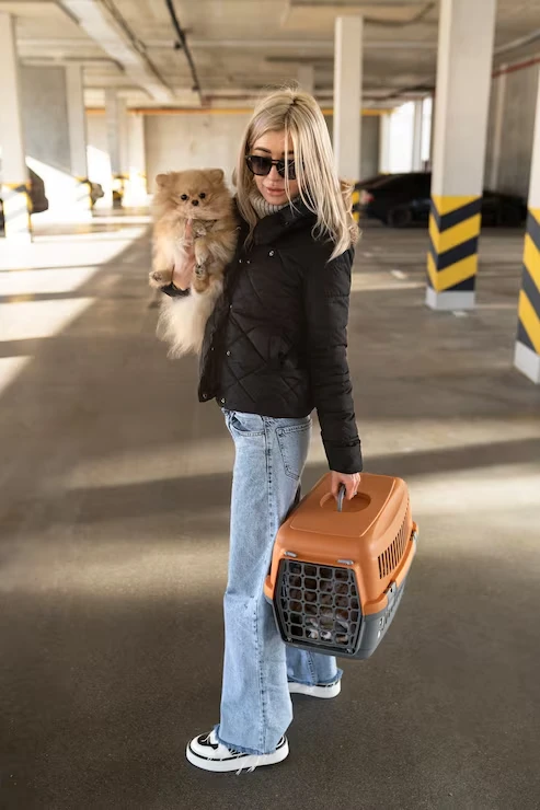 Private Jet Cat Transport With Total Controls