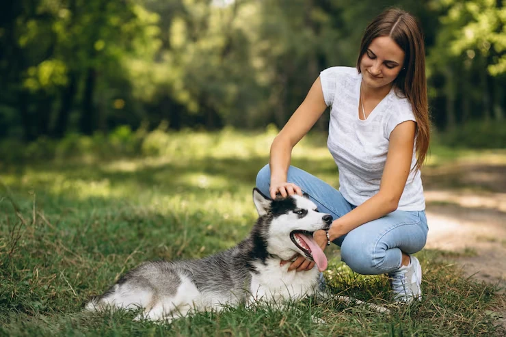 Private Jet Dog Transport with Global Reach